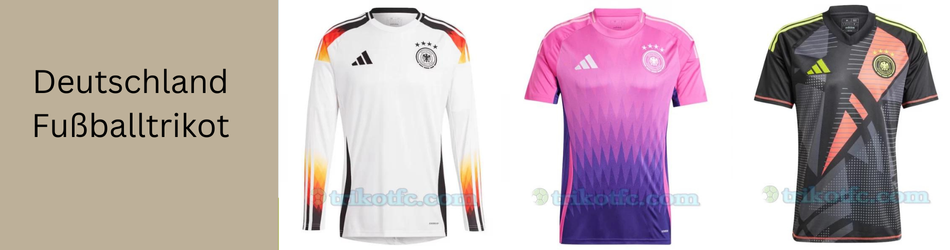 Premier Paint Protection, Coatings & Window Tint Shop in Roanoke, TX
                